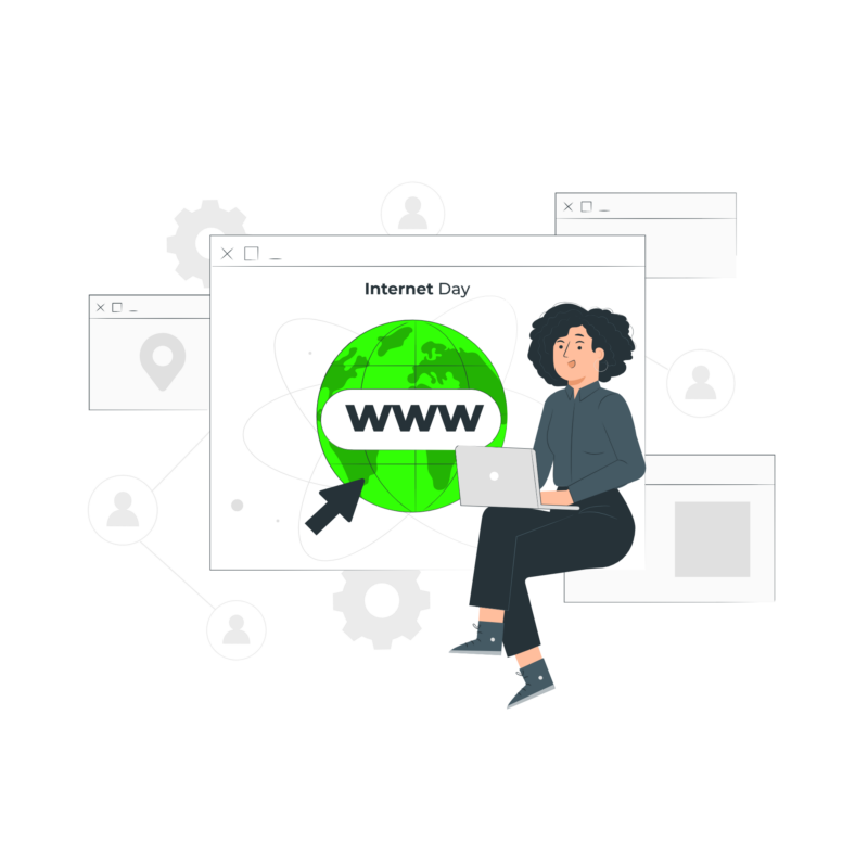 Internetul in gospodarii 