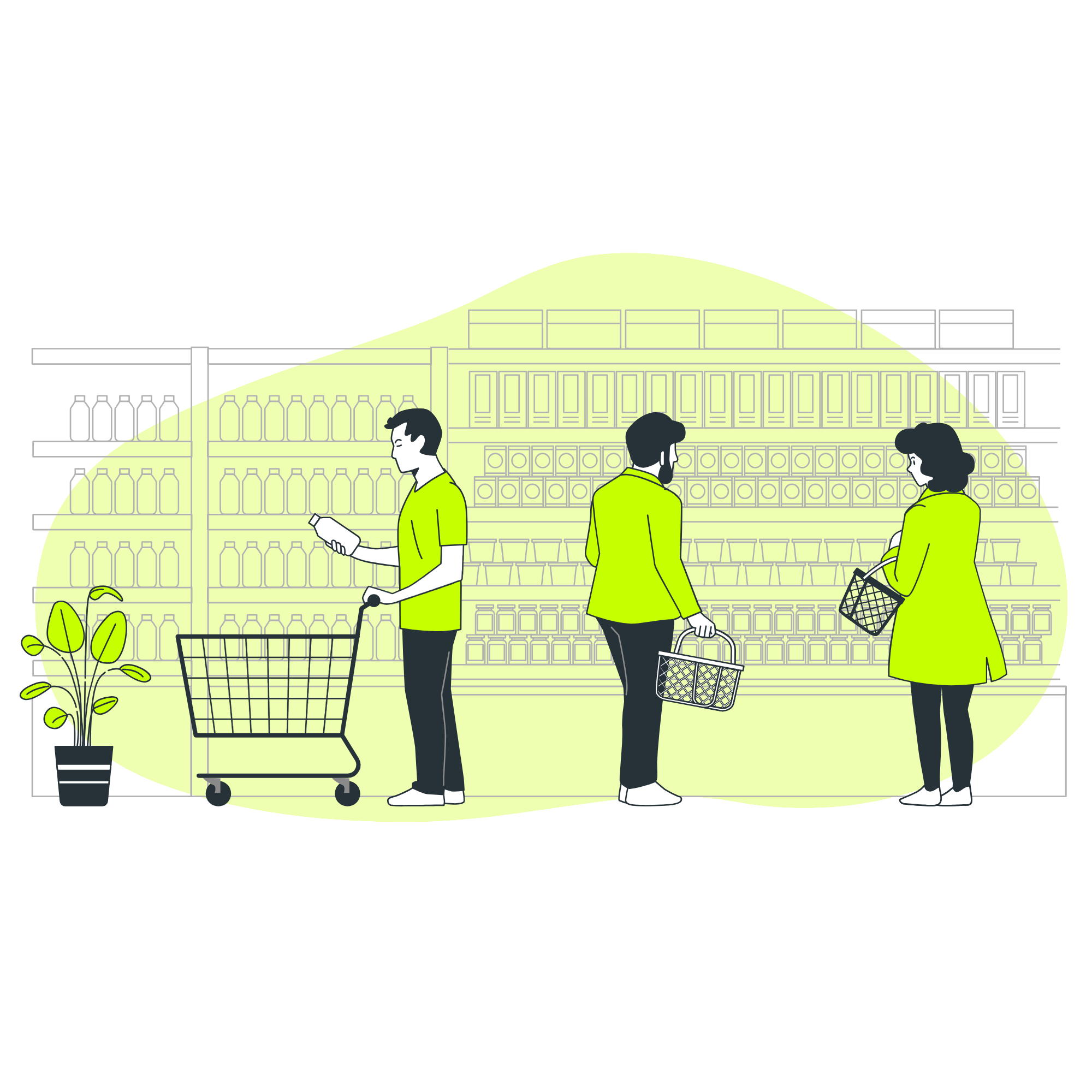 alimente care nu expira