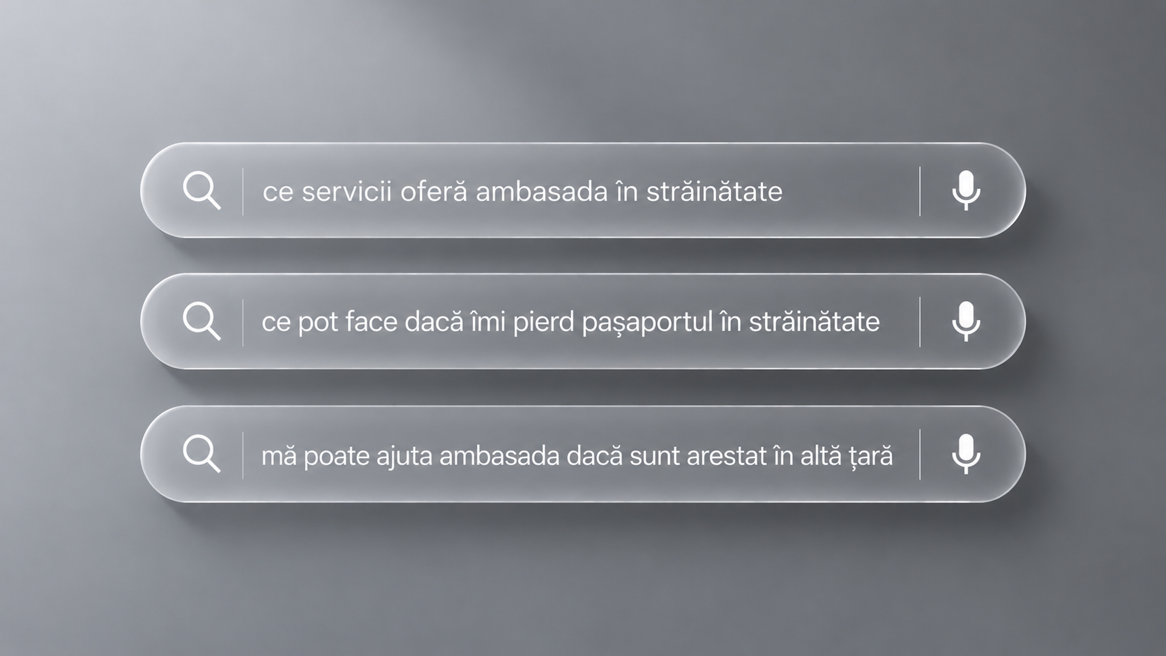 asistență consulară